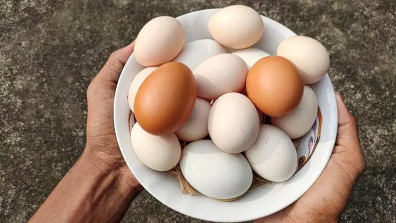 সাদা নাকি লাল, কোন ডিমে পুষ্টি বেশি জেনে নিন