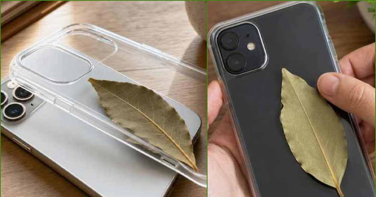 ফো’নের ক’ভারে তেজপাতা রাখছেন অনেকেই! কারণটা কী?