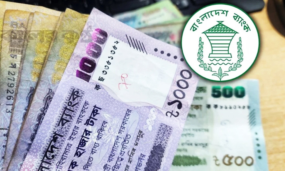 ২০ লাখ টাকা ঋ’ণ ও অ’নুদান পাওয়ার সু’যোগ, আবেদনে লাগবে যেসব যো’গ্যতা